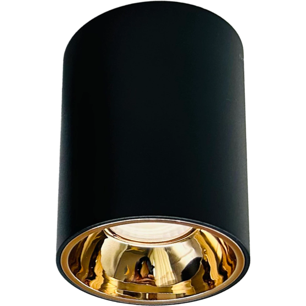 Halley Surface Mount Ceiling lights