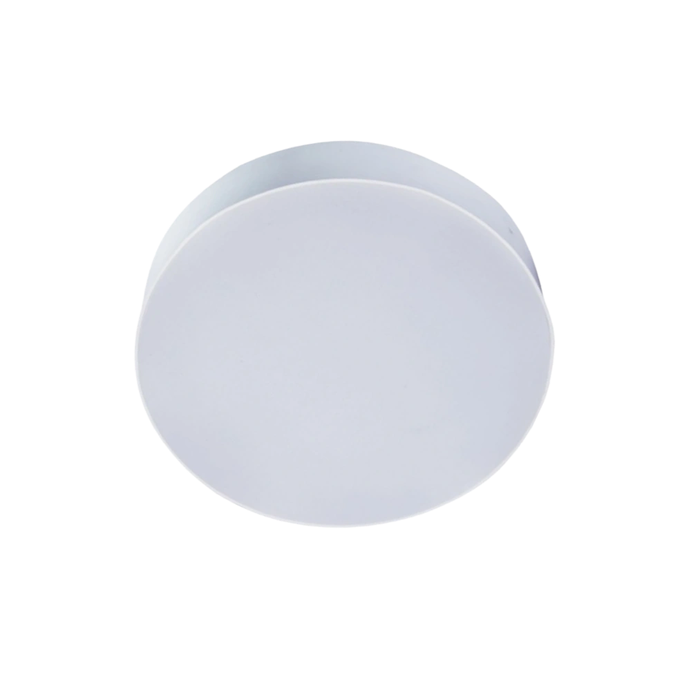 Seline Surface Mount ceiling Lighting Solutions